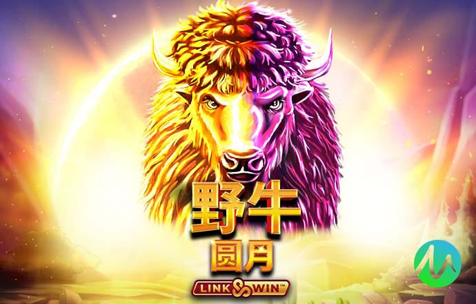 幻影体育官方网站